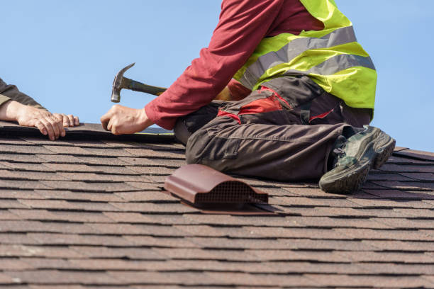 Best Roof Leak Repair  in Alamo, GA