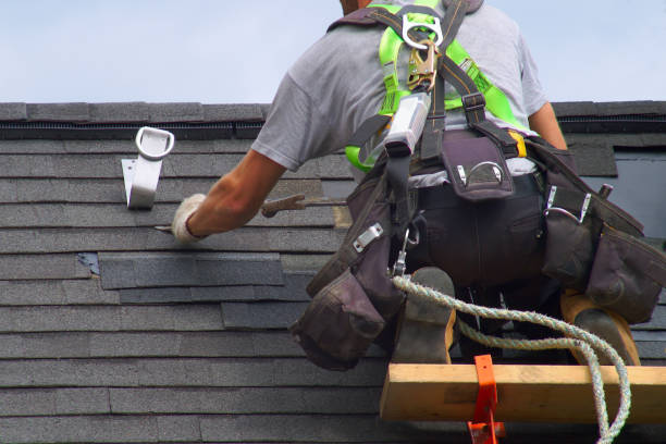 Best Roof Waterproofing Services  in Alamo, GA