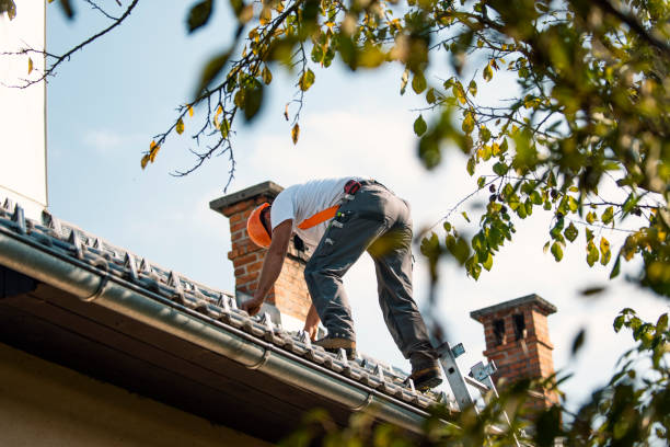 Best Best Roofing Contractors  in Alamo, GA