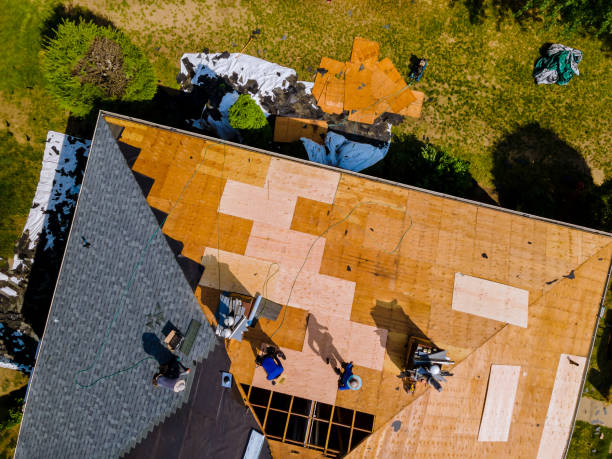 Best Metal Roofing Contractor  in Alamo, GA