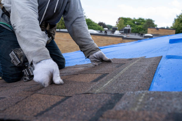 Best Commercial Roofing Services  in Alamo, GA