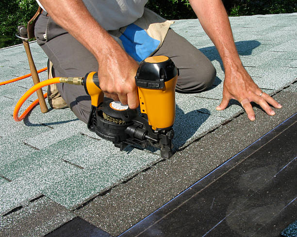 Best Roof Gutter Cleaning  in Alamo, GA