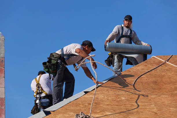 Quick and Trustworthy Emergency Roof Repair Services in Alamo, GA