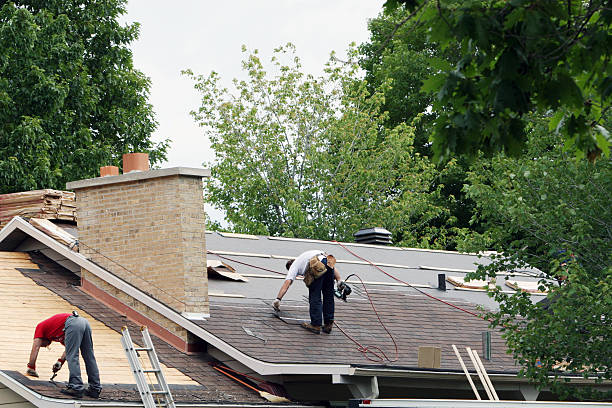Best Roof Restoration Services  in Alamo, GA