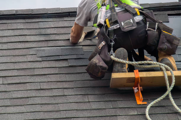 Best Roof Leak Repair  in Alamo, GA