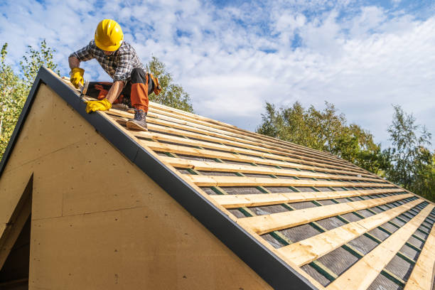 Best Local Roofing Companies  in Alamo, GA