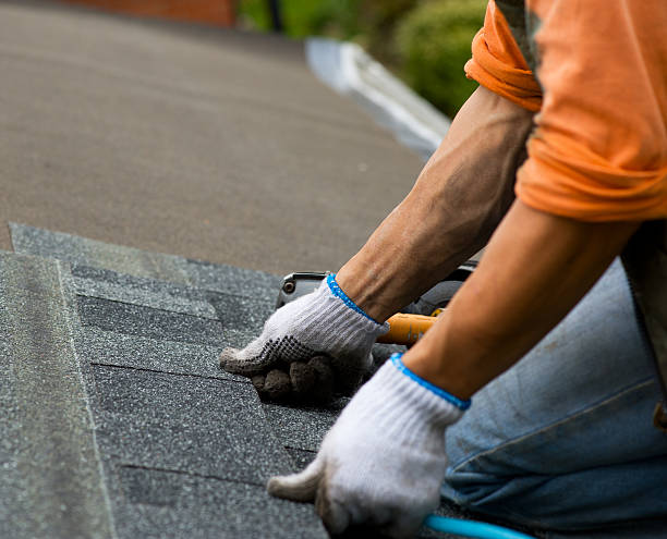 Roof Gutter Cleaning in Alamo, GA