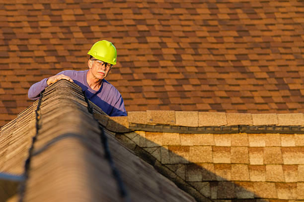 Best Roof Gutter Cleaning  in Alamo, GA