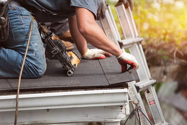 Best Shingle Roofing Installation  in Alamo, GA
