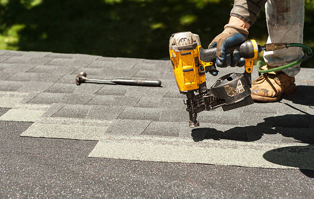 Best Roof Gutter Cleaning  in Alamo, GA