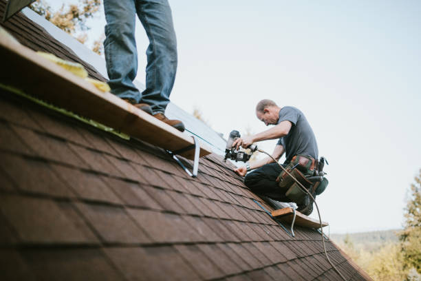 Best Roof Leak Repair  in Alamo, GA
