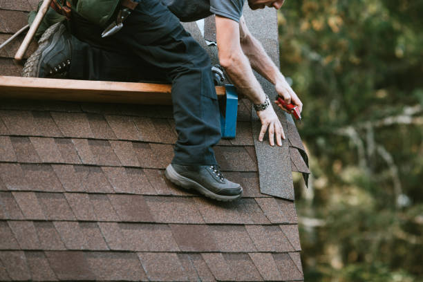 Best Gutter Installation and Roofing  in Alamo, GA