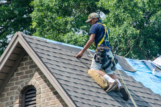 Best Residential Roofing Contractor  in Alamo, GA
