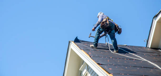Best Metal Roofing Contractor  in Alamo, GA